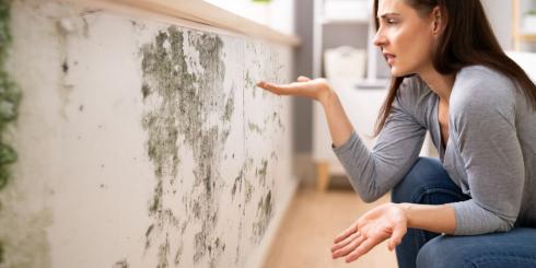 Pleśń - czym jest i dlaczego ma tak negatywny wpływ na nasze zdrowie? Jak się jej pozbyć?