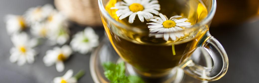 Zioła i nalewki skuteczne w przypadku problemów żołądkowych