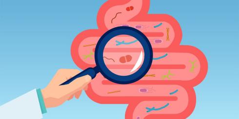 Twoja wątroba będzie zdrowa, jeśli zadbasz o...bakterie jelitowe