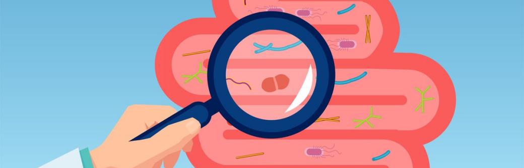 Twoja wątroba będzie zdrowa, jeśli zadbasz o...bakterie jelitowe