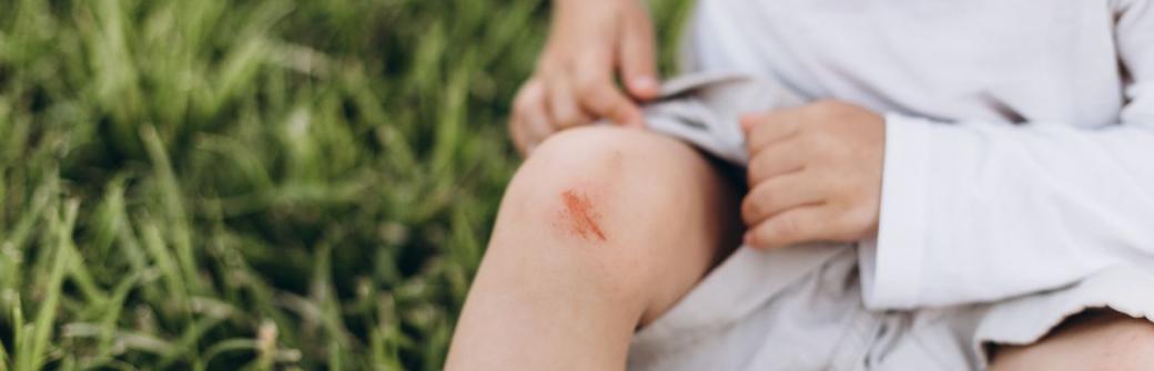 Nasz organizm potrafi zasklepić rany i odbudować ciągłość tkanek - jak to robi?