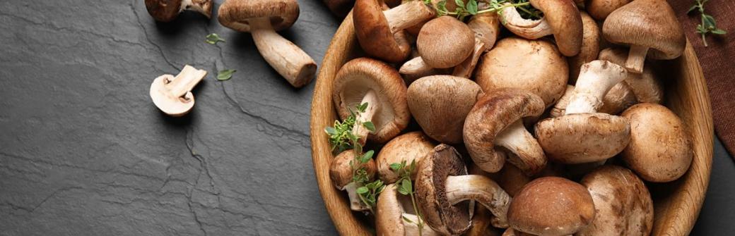 7 grzybów leczniczych, które są największym wsparciem dla organizmu
