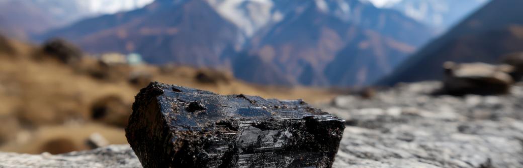 Shilajit - wspiera odporność, spowalnia postęp alzheimera. 10 powodów dla suplementacji mumio