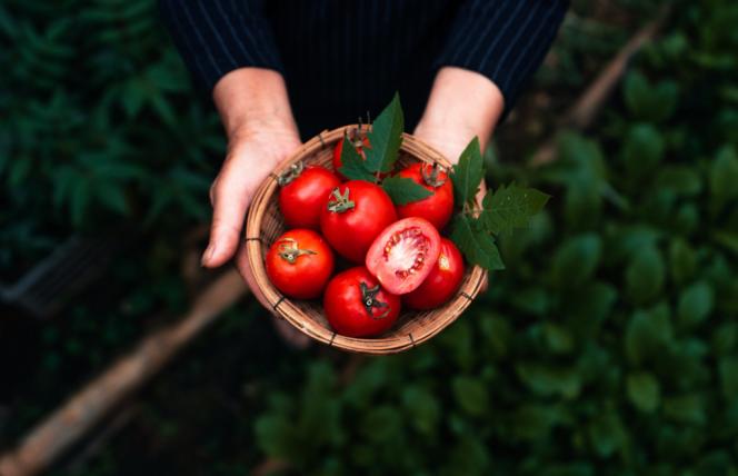 Niedobory tej witaminy wpływają na pogorszenie wzroku