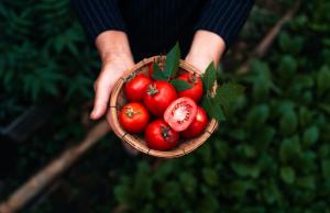 Niedobory tej witaminy wpływają na pogorszenie wzroku