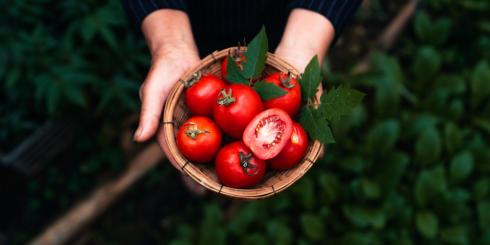 Niedobory tej witaminy wpływają na pogorszenie wzroku