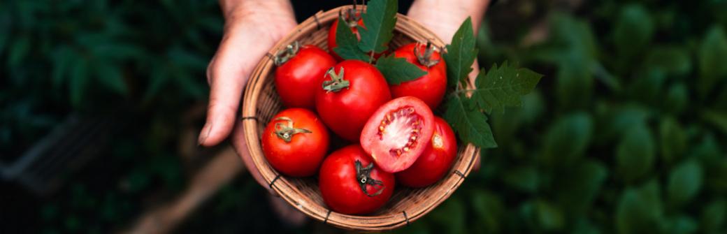 Niedobory tej witaminy wpływają na pogorszenie wzroku
