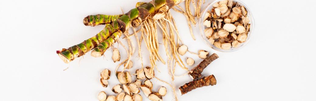 Wspomaga trawienie i odporność - tatarak zwyczajny i jego cenne właściwości