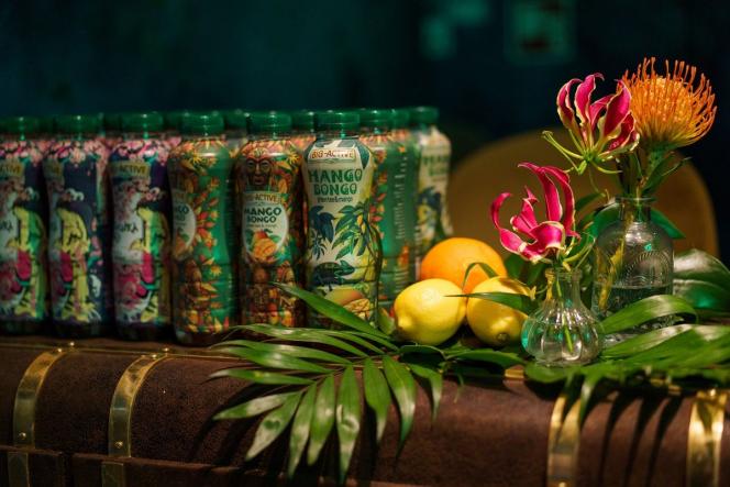 Big-Active - herbaty, kawy funkcjonalne i pyszne napoje. Poznaj nowe smaki