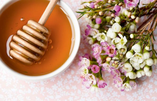 Miód manuka potrafi zwalczyć nawet bakterię E. coli. Jak wybrać najlepszy?