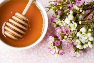 Miód manuka potrafi zwalczyć nawet bakterię E. coli. Jak wybrać najlepszy?