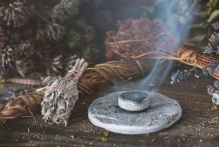 Lecznicze rośliny w niedostępnych lasach? Naukowcy potwierdzili skuteczność wielu z nich 
