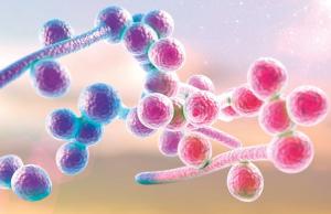 Kandydoza - przyczyny, objawy i sposoby leczenia