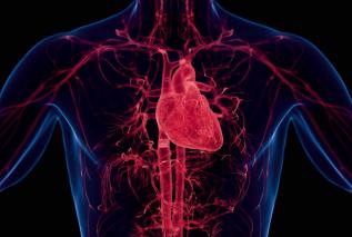 Serce to nie pompa? Jaka jest związek nerwu błędnego z zawałem?