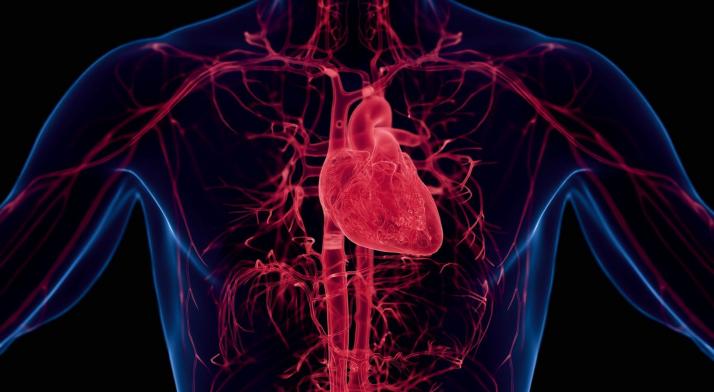 Serce to nie pompa? Jaka jest związek nerwu błędnego z zawałem?