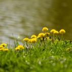 Dieta dobra dla genów - poprawia zdrowie, wydłuża życie. Co jeść, a czego unikać?