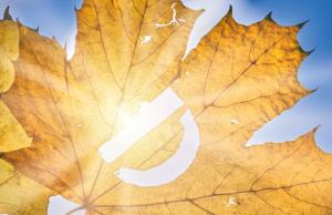 Witamina D jest fundamentem odporności. Co jeść, jak suplementować