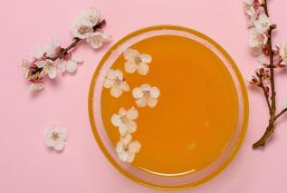 Miód manuka to nie tylko antybiotyk. Oto 4 ważne jego właściwości zdrowotne