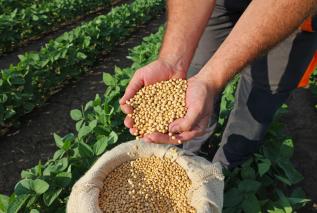 Nattokinaza – enzym, który chroni przed udarem?