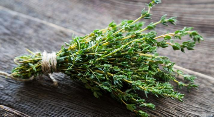 Tymianek - właściwości lecznicze i zastosowanie
