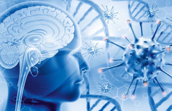Kto kim steruje? Rewolucyjne odkrycia w komunikacji między mózgiem a układem odpornościowym