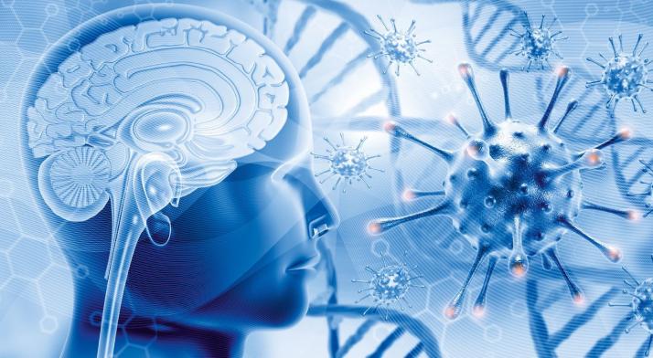 Kto kim steruje? Rewolucyjne odkrycia w komunikacji między mózgiem a układem odpornościowym