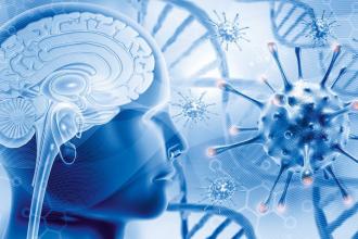 Kto kim steruje? Rewolucyjne odkrycia w komunikacji między mózgiem a układem odpornościowym