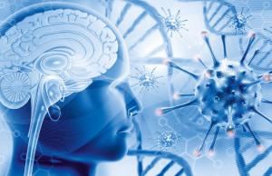 Kto kim steruje? Rewolucyjne odkrycia w komunikacji między mózgiem a układem odpornościowym