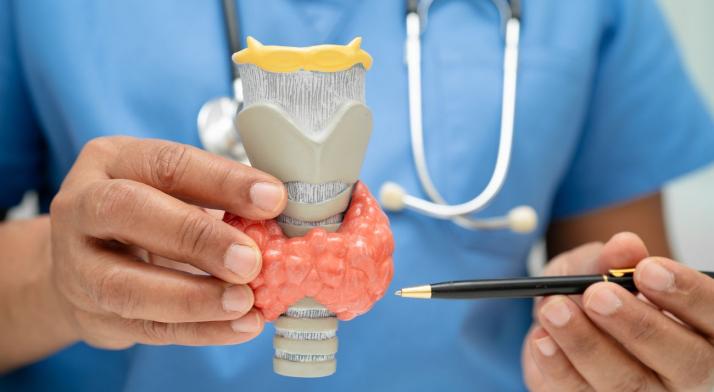 Dieta dla tarczycy: top produkty wspomagające i te, które szkodzą