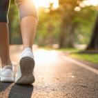 Bazylia - właściwości zdrowotne i zastosowanie