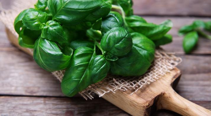 Bazylia - właściwości zdrowotne i zastosowanie