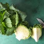 Flora bakteryjna jelit a koenzym Q10. Od niego zależy nasza odporność?