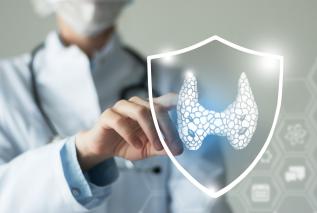 Tarczyca - najważniejszy gruczoł w naszym ciele