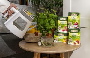 Herbaty Big-Active - naturalne źródło dobrej energii dla umysłu i ciała