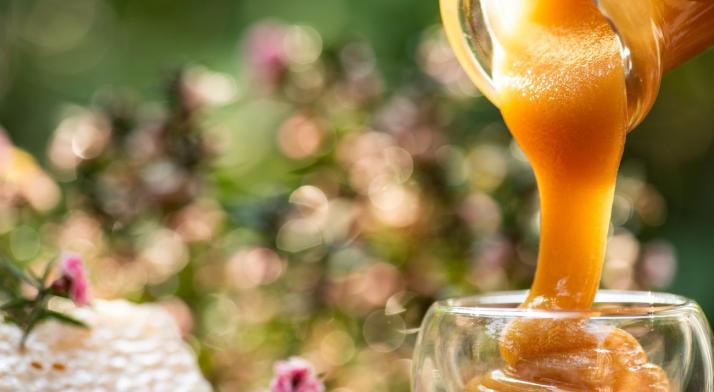 Miód manuka - składniki aktywne i działanie. W jakich schorzeniach pomaga miód manuka?