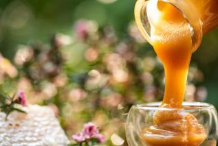 Miód manuka - składniki aktywne i działanie. W jakich schorzeniach pomaga miód manuka?