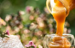 Miód manuka - składniki aktywne i działanie. W jakich schorzeniach pomaga miód manuka?