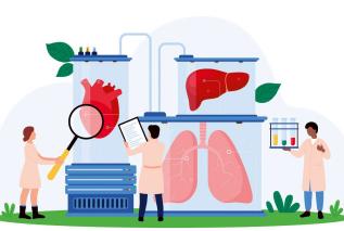 Biodrukowanie - czym jest i jak można je zastosować w medycynie?