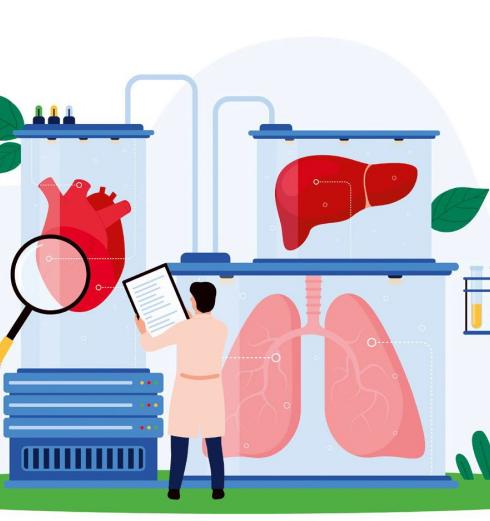 Biodrukowanie - czym jest i jak można je zastosować w medycynie?